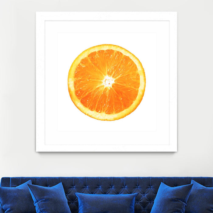 \"Citrus Cultivar\" Matted and Framed White 36x36 Wall Art