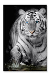 Black And White Tiger 16x24 Wall Art Frame And Fabric Panel