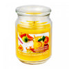 18 Oz Scented Jar with Glass Lid Zesty Citrus - Set of 2 Candle
