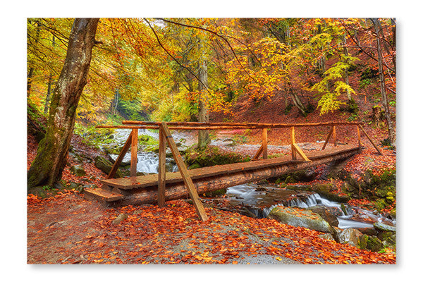 Autumn Landscape 2 28x42 Wall Art Frame And Fabric Panel