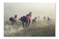 Group Of Horses On The Meadow 24x36 Wall Art Frame And Fabric Panel