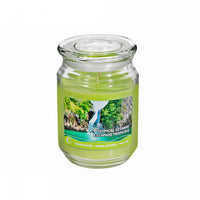 18 Oz Scented Jar with Glass Lid Tropical Getaway - Set of 2 Candle