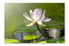 Water Lily Flower 28x42 Wall Art Frame And Fabric Panel