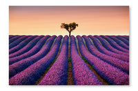 Lavender And Lonely Tree Uphill On Sunset 28x42 Wall Art Frame And Fabric Panel