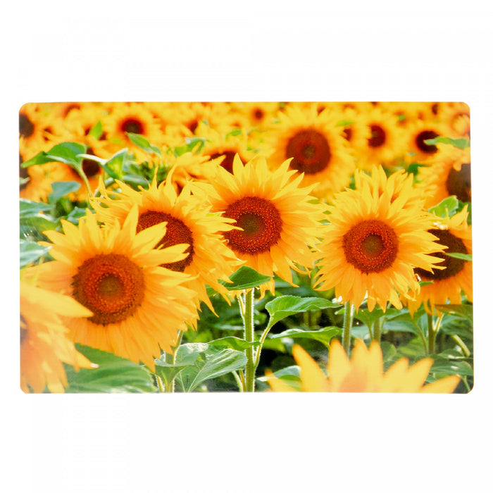 Plastic Placemat Sunflower Field-Set of 12