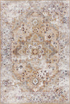 Far Rustic 4x6 Area Rug