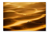 Camel Caravan 16x24 Wall Art Frame And Fabric Panel