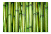 Fresh Bamboo Background 16x24 Wall Art Frame And Fabric Panel