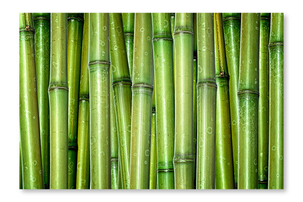Fresh Bamboo Background 16x24 Wall Art Frame And Fabric Panel