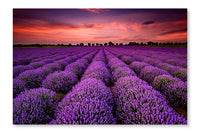Lavender Sunset 28x42 Wall Art Frame And Fabric Panel