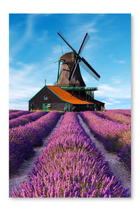 Lavender Fields With Windmill 28x42 Wall Art Frame And Fabric Panel