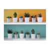 Canvas Wall Art Succulents - Set of 2 Wall Decor