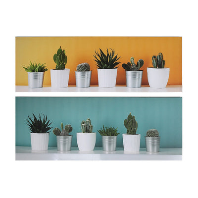 Canvas Wall Art Succulents - Set of 2 Wall Decor|Œuvre d’art murale sur toile représentant des plantes grasses - ensemble de 2 décorations murales