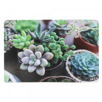 Plastic Placemat Succulents - Set of 12