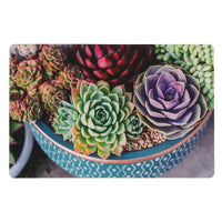Plastic Placemat Potted Succulents - Set of 12