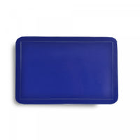 Plastic Placemat Navy Blue - Set of 12