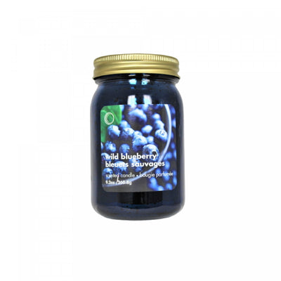 9.2oz Electroplated Mason Jar Candle Wild Blueberry - Set of 2|Chandelle de 9,2 oz à arôme de bleuets sauvages dans un pot Mason électroplaqué - ensemble de 2