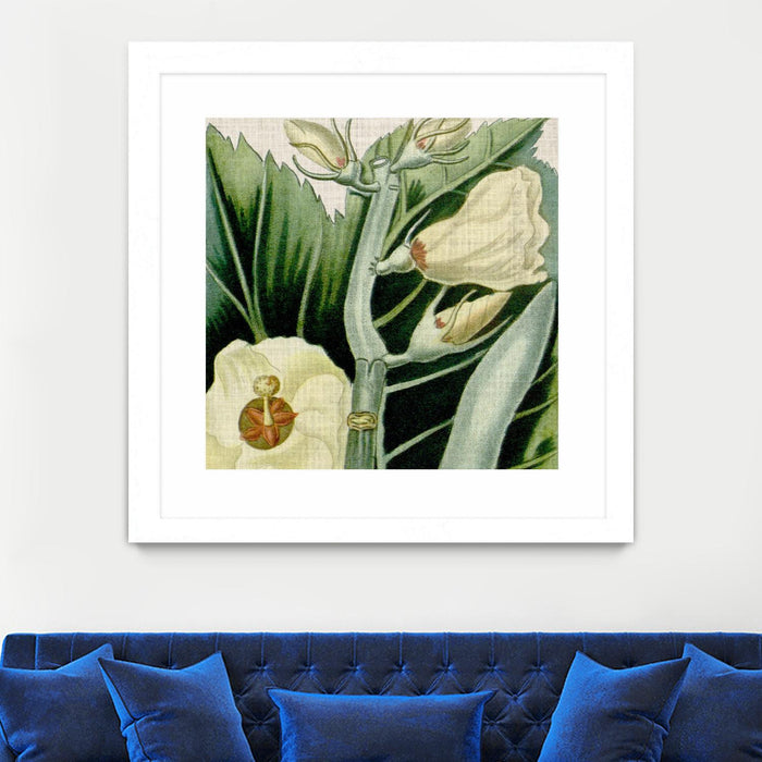 \"Cropped Turpin Tropicals Iii\" Matted and Framed White 36x36 Wall Art