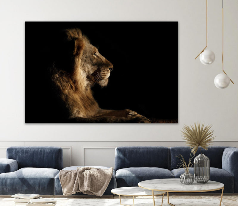 \"Royal Meeting In The Night\" Giant Art 72x48 Wall Art