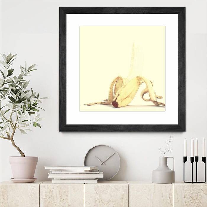 \"Banada Honey Puff\" Matted and Framed Black 36x36 Wall Art