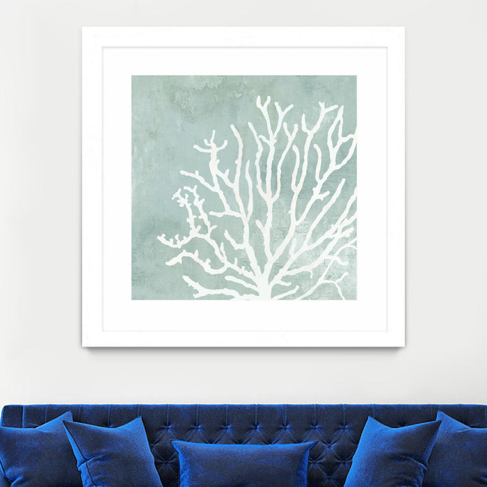 \"Sea Crown Ii\" Matted and Framed White 30x30 Wall Art