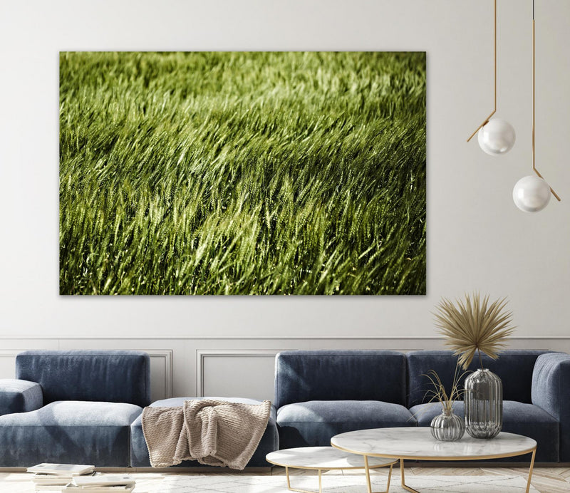 \"Grass Ii\" Giant Art 72x48 Wall Art