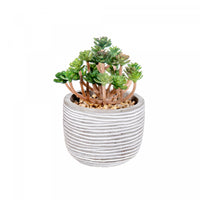 Artificial Succulent in Cement Pot - Set of 2 Artificial Flower