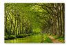 Spring Look On Canal Du Midi 16x24 Wall Art Frame And Fabric Panel