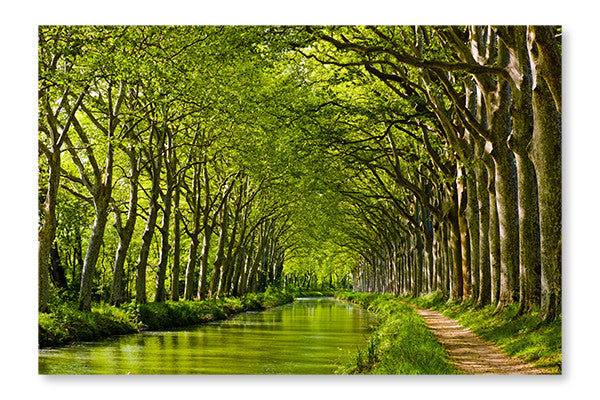 Spring Look On Canal Du Midi 16x24 Wall Art Frame And Fabric Panel