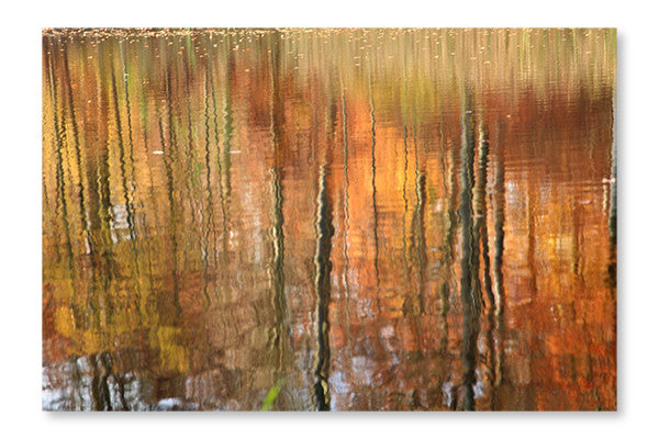 Autumn Forest Reflection 16x24 Wall Art Frame And Fabric Panel