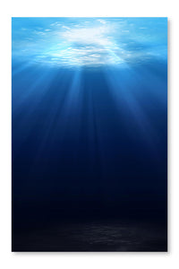 Underwater Scene Background 24x36 Wall Art Frame And Fabric Panel