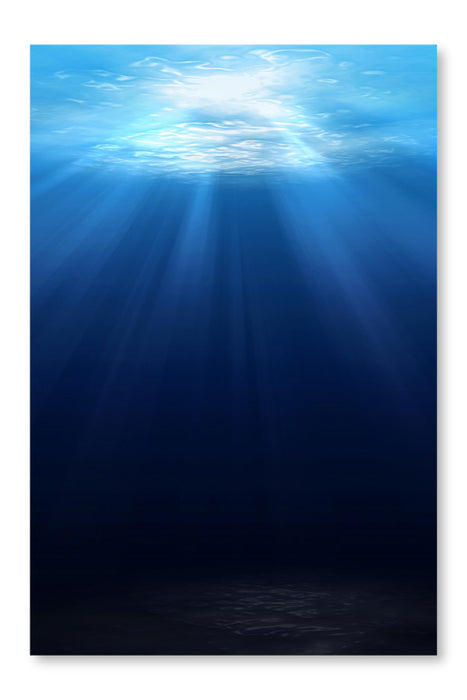 Underwater Scene Background 24x36 Wall Art Frame And Fabric Panel