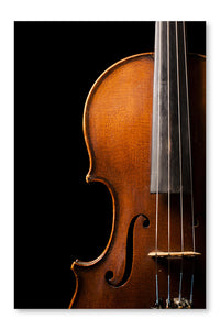 Violin Close Up 24x36 Wall Art Frame And Fabric Panel