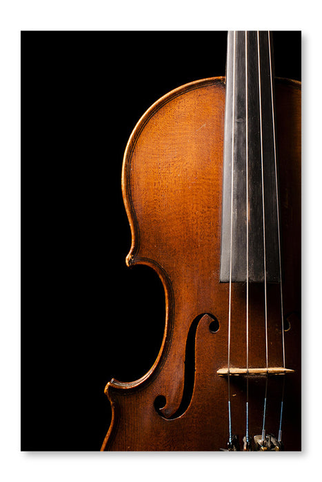 Violin Close Up 24x36 Wall Art Frame And Fabric Panel