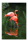 Two Pink Flamingos 24x36 Wall Art Frame And Fabric Panel