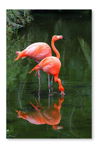 Two Pink Flamingos 24x36 Wall Art Frame And Fabric Panel