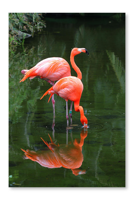 Two Pink Flamingos 24x36 Wall Art Frame And Fabric Panel