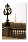 Lamp Post On The Bridge In Paris 24x36 Wall Art Frame And Fabric Panel