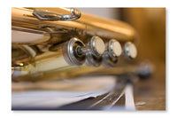 Trumpet Pistons 28x42 Wall Art Frame And Fabric Panel