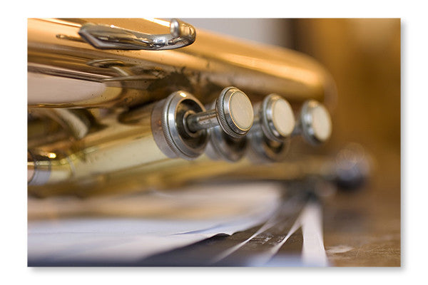 Trumpet Pistons 28x42 Wall Art Frame And Fabric Panel