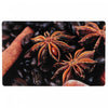 Plastic Placemat Star Anise