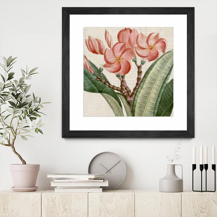 \"Cropped Turpin Tropicals Vii\" Matted and Framed Black 30x30 Wall Art