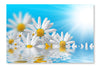 Spring Flowers Background 28x42 Wall Art Frame And Fabric Panel