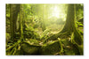 Green Forest 24x36 Wall Art Frame And Fabric Panel