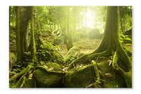 Green Forest 24x36 Wall Art Frame And Fabric Panel