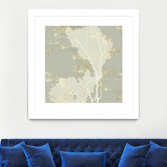 \"Sea Coral Ii\" Matted and Framed White 30x30 Wall Art