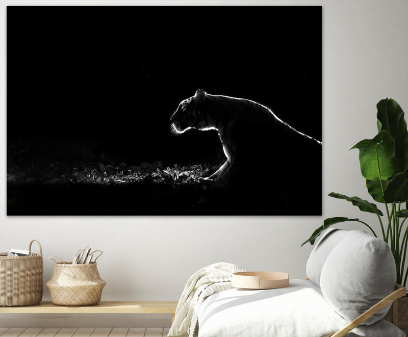 \"Amot - Untitled\" Giant Art 72x48 Wall Art