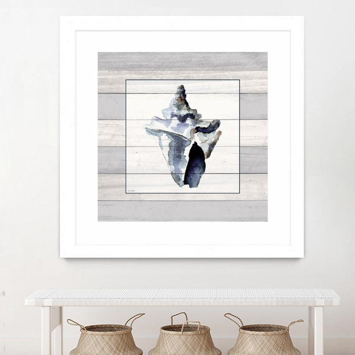 \"Muted Blue Sea Conch On Wood\" Matted and Framed White 36x36 Wall Art