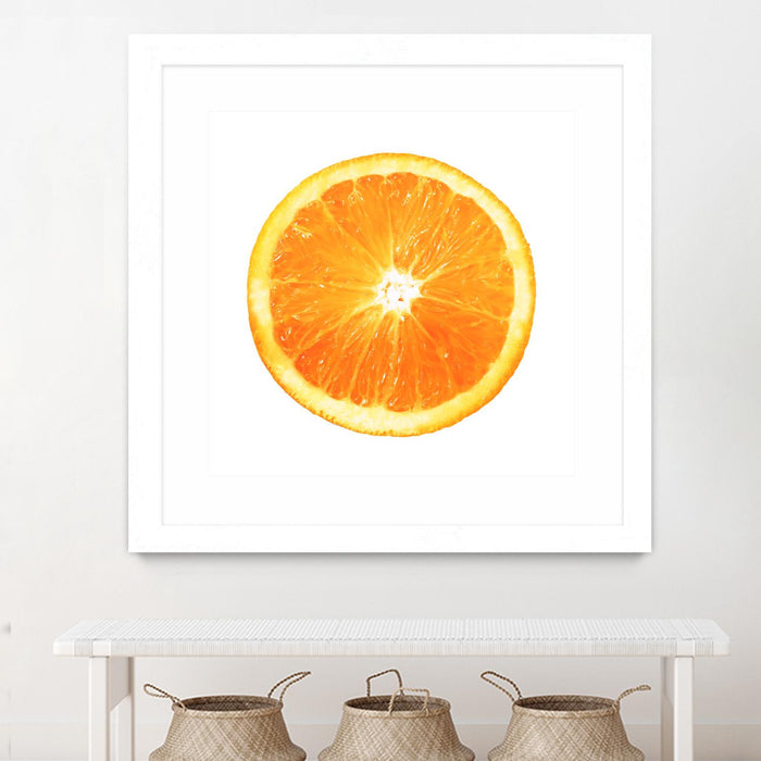 \"Citrus Cultivar\" Matted and Framed White 36x36 Wall Art