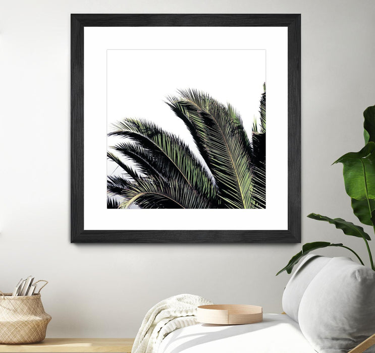 \"Cape Storm\" Matted and Framed Black 36x36 Wall Art